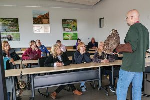 Marko carries on inside